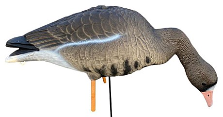 Oscar Decoys